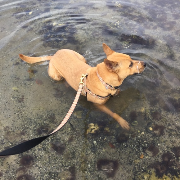 Meet Your Posher, Nancy - Picture 7 of 8